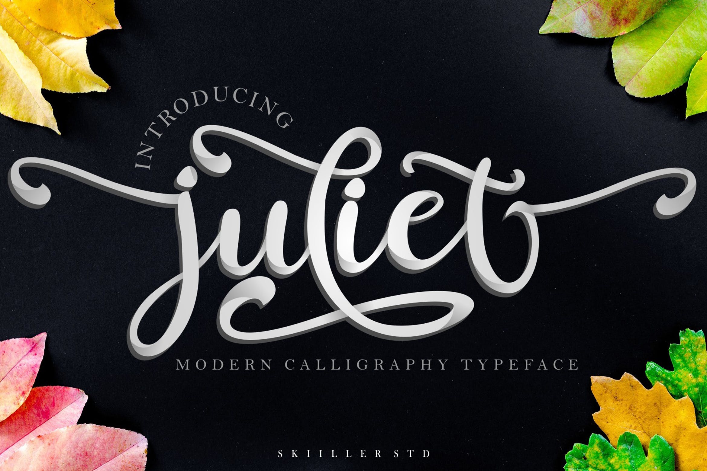 粗线线条拉长英文印刷字体素材 juliet Modern Calligraphy – 设计小咖