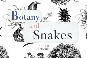 植物学与蛇自然主题无缝图案背景素材 Botany And Snakes Natural Patterns