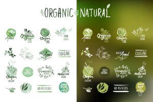 手绘有机食品贴纸&徽章矢量Logo设计素材v3 Organic food stickers and badges