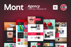 快速便捷现代创意元素Mont机构WordPress模板套件 Mont – Agency Template kit