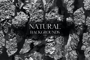灰色调大自然系列植物干枯背景插图v.2 Natural Backgrounds Vol.2