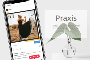 服装品牌宣传Instagram故事推广素材包 Praxis – Instagram Promotion Pack