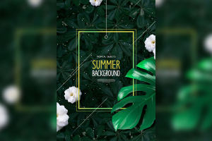 热带植物绿叶元素夏季背景海报psd素材