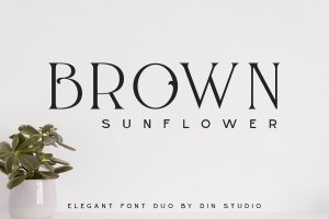 高奢广告推广邀请函无衬线字体 Brown Sunflower – Font Duo