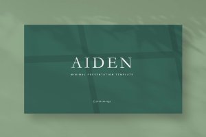 INS简约北欧冷淡风Powerpoint演示模板 Aiden – Powerpoint Template