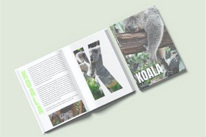杂志画册图书展示样机模板 Book – Mockup
