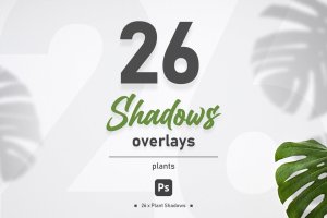 植物阴影叠层素材 Plant Shadow Overlays