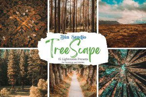 旅行旅游山川森林树林风景滤镜Lightroom预设 Tree Scape Lightroom Presets