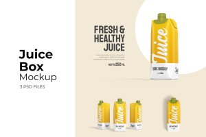 果汁盒/瓶品牌包装设计样机 Juice Box – Mockup