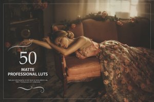 50款法式浪漫暗色调人物摄影后期LR预设 50 Matte LUTs Pack