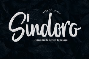 婚礼手写贺卡标题设计字体 Sindoro – Handmade Script