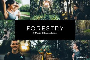20款自然森林探险照片加工LR预设+LUT预设 20 Forestry Lightroom Presets & LUTs