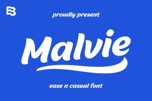 LOGO包装无衬线字体设计素材 Malvie
