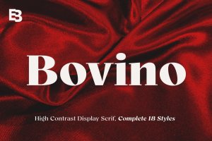 经典印刷素材衬线字体合集 Bovino