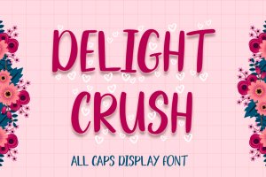 可爱手写英文大写装饰字体 Delight Crush – Display Font