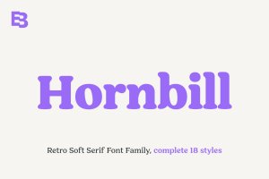 70年代复古风格英文衬线字体家族 Hornbill