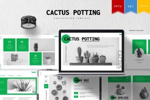 黑白仙人掌盆栽谷歌幻Powerpoint模板 Cactus Potting | Powerpoint, Key, Google Slides