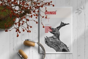 人文生活杂志设计INDD模板 Gringo | Magazine Template