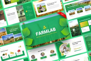 农业&有机食品PPT幻灯片模板下载 Farmlab – Agriculture & Organic Food PowerPoint