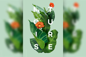 热带元素植物叶子海报韩国素材