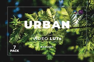 街道城市照片视频后期调色LUT预设包v7 Bangset Urban Pack 7 Video LUTs