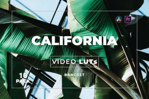 植物花卉照片视频后期调色LUT预设包v10 Bangset California Pack 10 Video LUTs