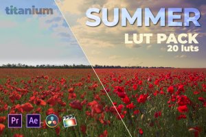 夏季摄影LUT调色预设包 Titanium Summer LUT Pack (20 Luts)