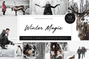 冬季白色滤镜LR照片调色预设 Lightroom Presets – Winter Magic