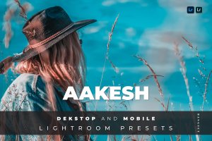 时尚人像修饰摄影LR调色预设 Aakesh Desktop and Mobile Lightroom Preset