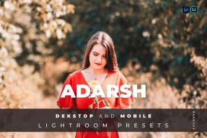 人物摄影LR调色预设 Adarsh Desktop and Mobile Lightroom Preset