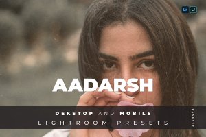 时装博主摄影LR调色预设 Aadarsh Desktop and Mobile Lightroom Preset