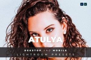 城市/户外旅行生活摄影Lightroom预设 Atulya Desktop and Mobile Lightroom Preset