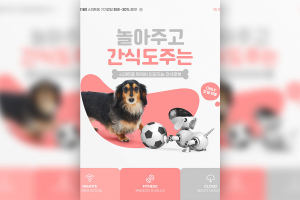 宠物陪玩机器人海报设计韩国素材