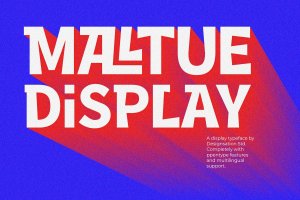 连字无衬线英文字体素材 Maltue Experimental Display