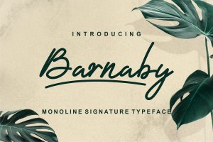 单线签名手写字体 Barnaby Monoline Signature Font