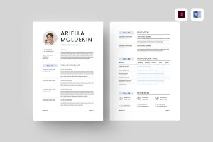 个人技能介绍简历设计模板 Resume | MS Word & Indesign