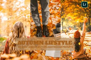 秋季生活摄影Lightroom预设 Autumn Lifstyle Lightroom Presets Dekstop Mobile
