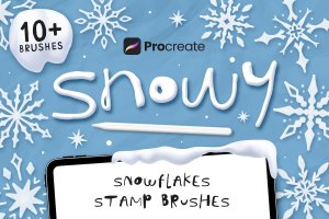 雪白雪花Procreate印章笔刷 Snowy Procreate Stamp Brushes