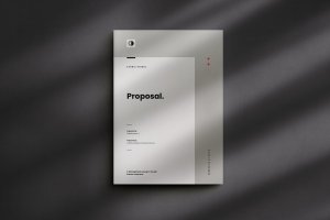 作品集/小册子/提案模板 Proposal Template