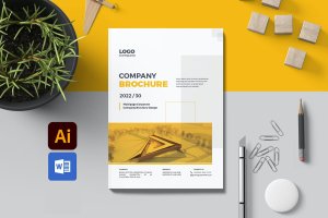 公司简介手册宣传册模板 Company Profile Brochure Template