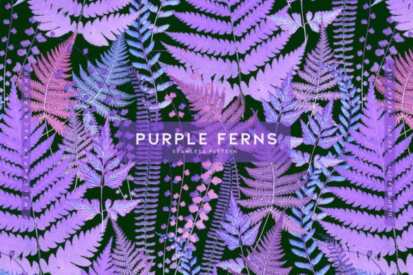 紫色蕨类植物装饰无缝图案 Purple Ferns