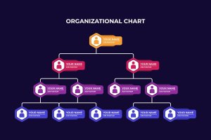 公司员工组织架构图 Employee organizational scheme structure company