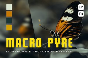 6 个微距摄影后期调色 Lightroom 和 Photoshop 预设 6 Macro Pyre Lightroom and Photoshop Presets