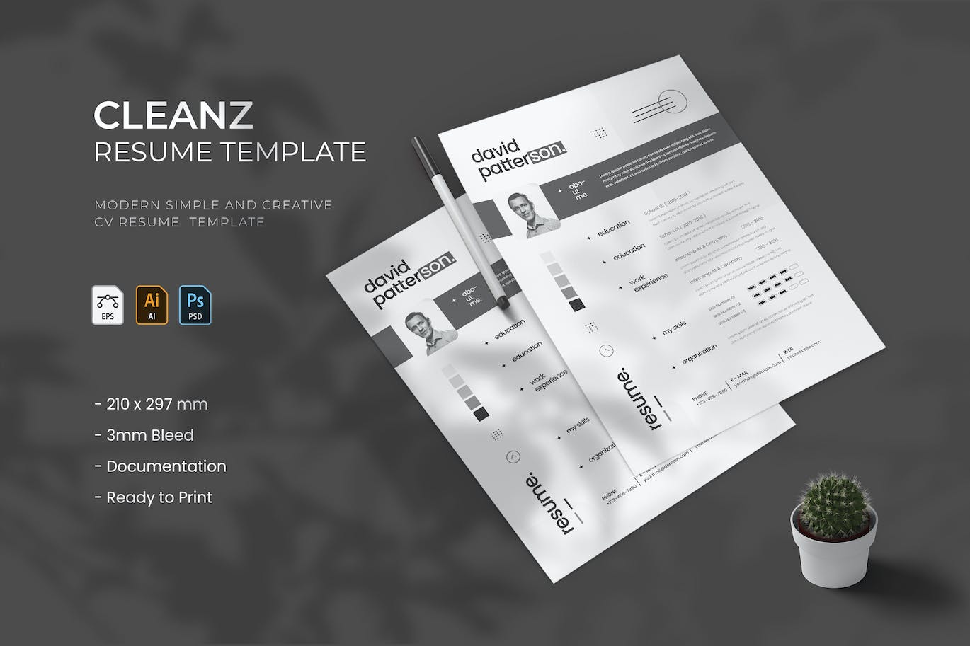 朴素设计风格个人简历素材模板 Cleanz – Resume