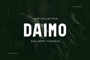 现代无衬线字体 Daimo Modern San Serif Font