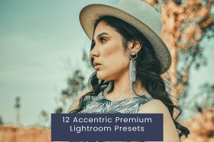 12 个社交流行色调 Lightroom 预设 12 Accentric Premium Lightroom Presets